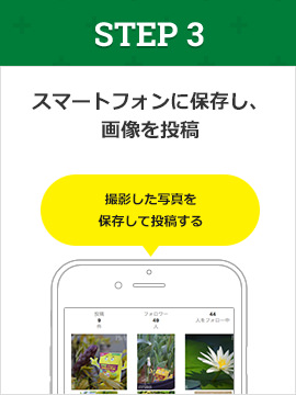 STEP3:スマートフォンに保存し、画像を投稿 キャンペーンのハッシュタグを付けて投稿する