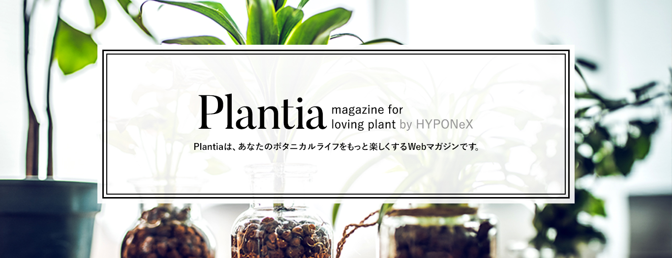 ウェブマガジン　Plantia