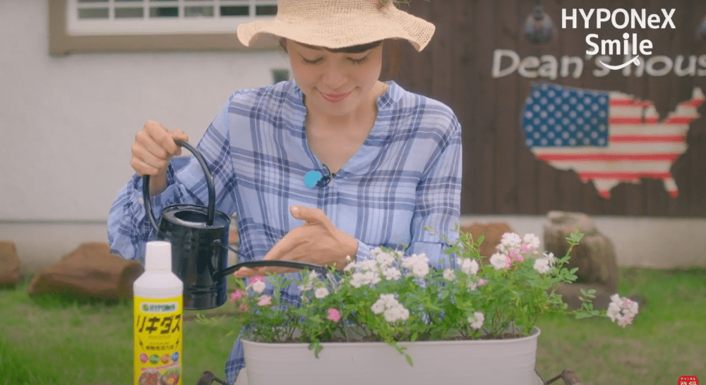 小花がかわいいミニバラの寄せ植え