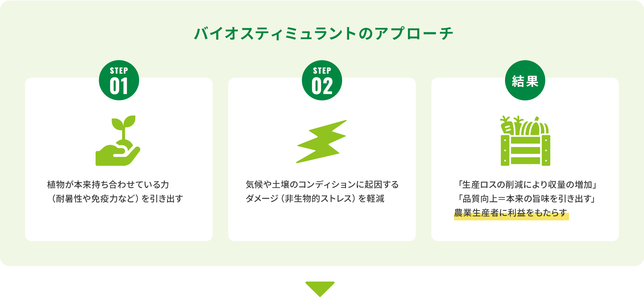バイオスティミュラントのアプローチ
step01 植物が本来持ち合わせている力(耐暑性や免疫力など)を引き出す
step02 気候や土壌のコンディションに起因するダメージ(非生物的ストレス)を軽減
結果 「生産ロスの削減により収量の増加」「品質向上=本来の旨味を引き出す」農業生産者に利益をもたらす