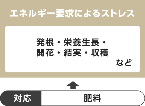 エネルギー要求によるストレス