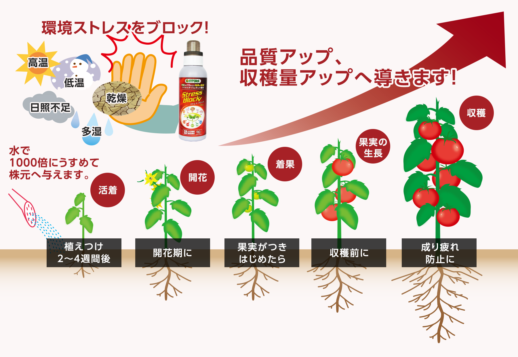 エネルギー要求によるストレス