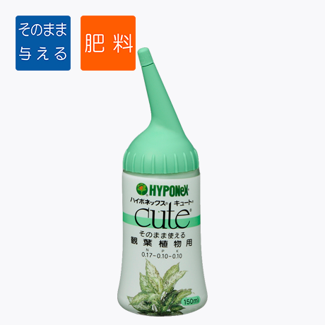 キュート 観葉植物用