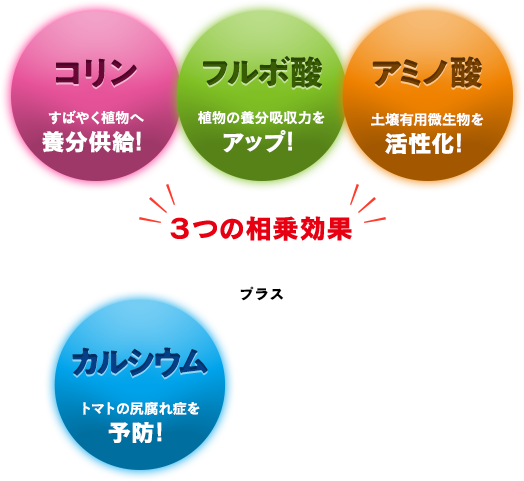 コリン酸、フルボ酸、アミノ酸＋カルシウムなどの各種ミネラル配合