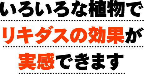 いろいろな植物でリキダスの効果が実感できます