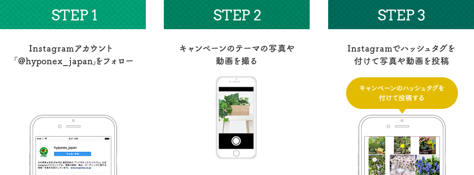 Instagram応募方法 STEP1:Instagramアカウント「hyponex_japan」をフォロー STEP2:キャンペーンテーマの動画や写真を撮る STEP3:Instagramでハッシュタグを付けて動画や写真を投稿