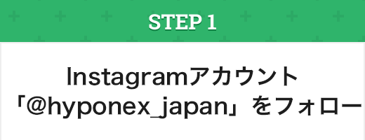 Instagram応募方法 STEP1:Instagramアカウント「hyponex_japan」をフォロー