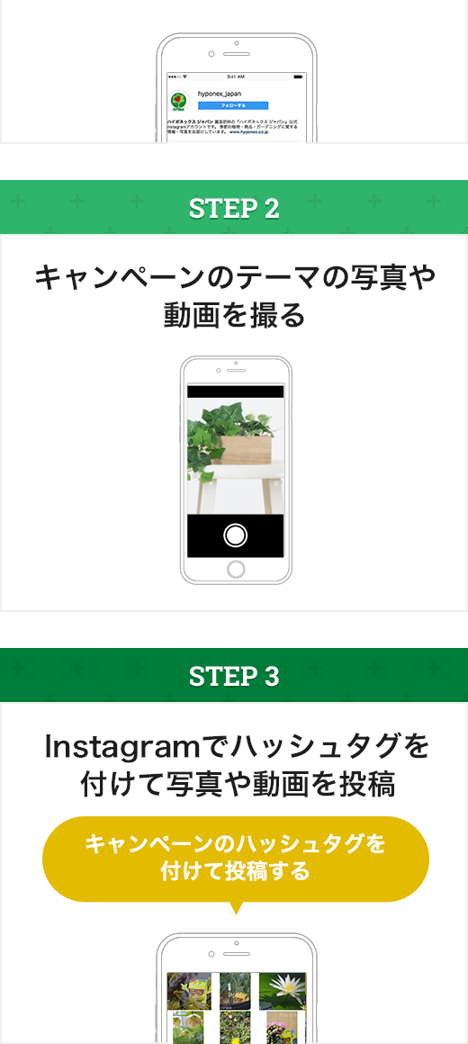 STEP2:キャンペーンテーマの動画や写真を撮る STEP3:キャンペーンのハッシュタグを付けて写真や動画を投稿する