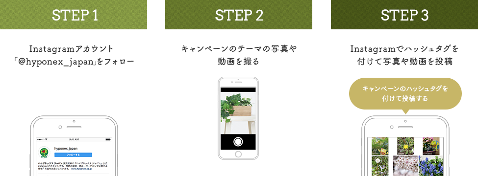 Instagram応募方法 STEP1:Instagramアカウント「hyponex_japan」をフォロー STEP2:キャンペーンテーマの動画や写真を撮る STEP3:Instagramでハッシュタグを付けて動画や写真を投稿