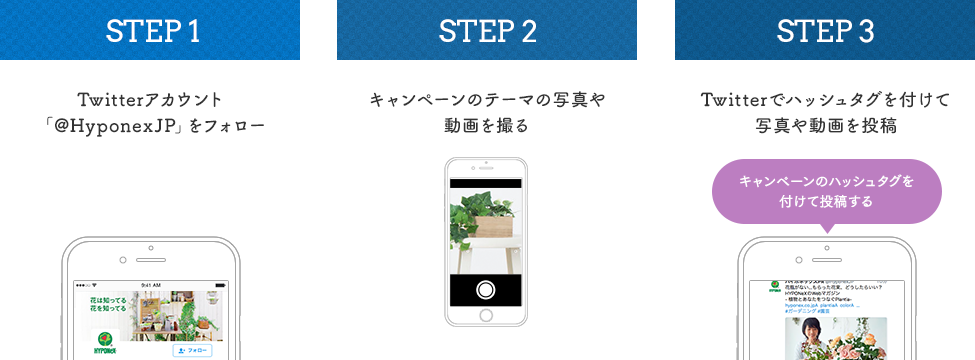 Twitter応募方法 STEP1:Twitterアカウント「Hyponexjp」をフォロー STEP2:キャンペーンテーマの動画や写真を撮る STEP3:Twitterでハッシュタグを付けて動画や写真を投稿