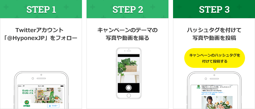 Twitter応募方法 STEP1:Twitterアカウント「Hyponexjp」をフォロー STEP2:キャンペーンテーマの動画や写真を撮る STEP3:キャンペーンのハッシュタグを付けて写真や動画を投稿する