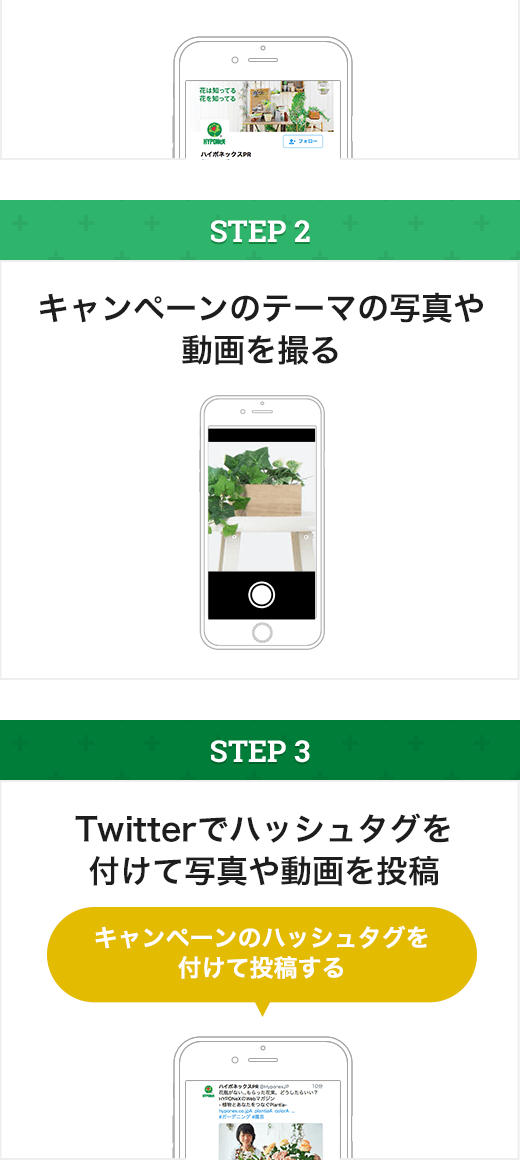 STEP2:キャンペーンテーマの動画や写真を撮る STEP3:キャンペーンのハッシュタグを付けて写真や動画を投稿する