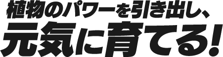 植物のパワーを引き出し、元気に育てる!