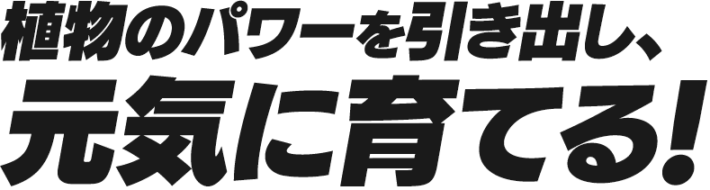 植物のパワーを引き出し、元気に育てる!