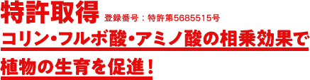 特許取得 コリン・フルボ酸・アミノ酸の相乗効果で植物の生育を促進！