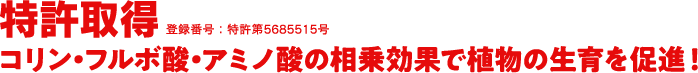 特許取得 コリン・フルボ酸・アミノ酸の相乗効果で植物の生育を促進！