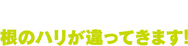 植物を植え付けた後、すぐにリキダスを与えると根のハリが違ってきます！