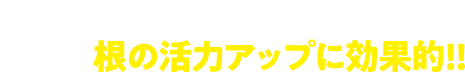 植え替え・さし木・さし芽・株分け時に。根の活力アップに効果的!!