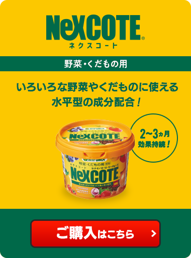 ネクスコート 野菜・くだもの用